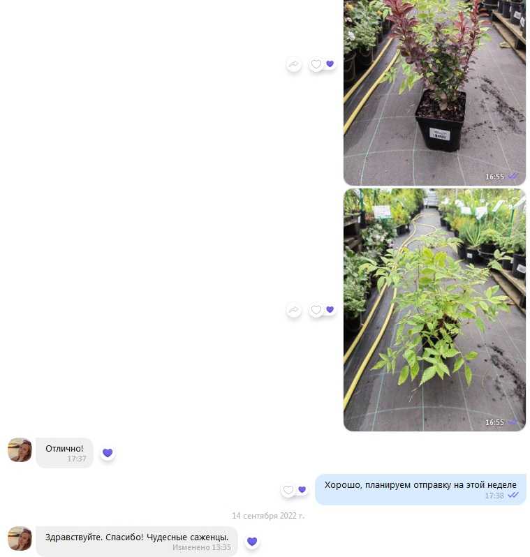 Анна.jpg Анна.jpg