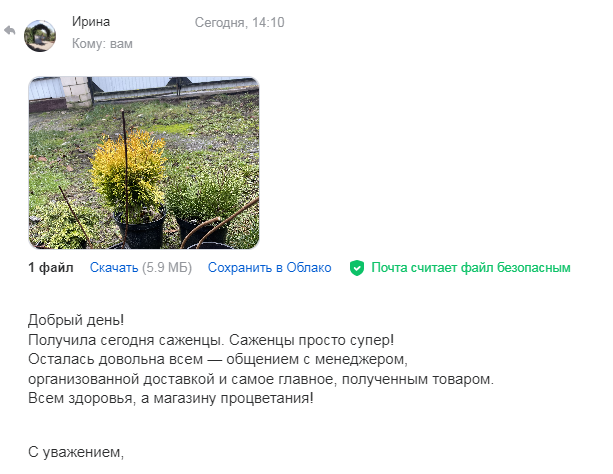 Ирина.png Ирина.png